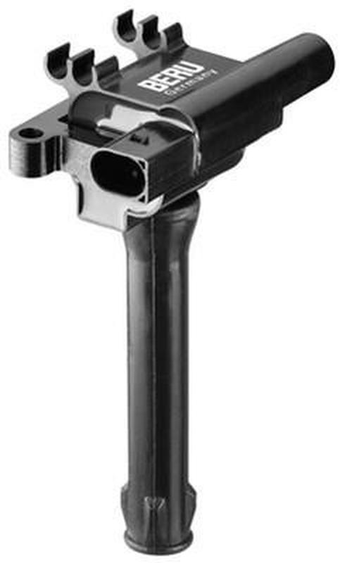 BERU ZS501