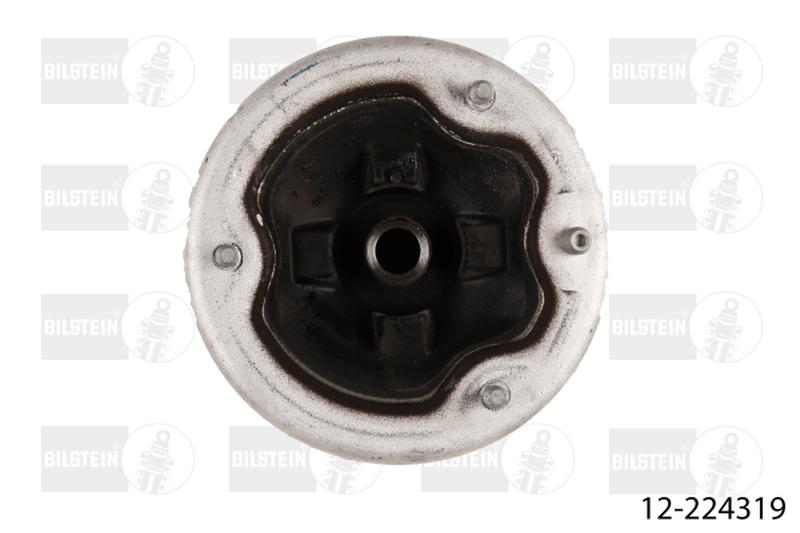 BILSTEIN 12-224319