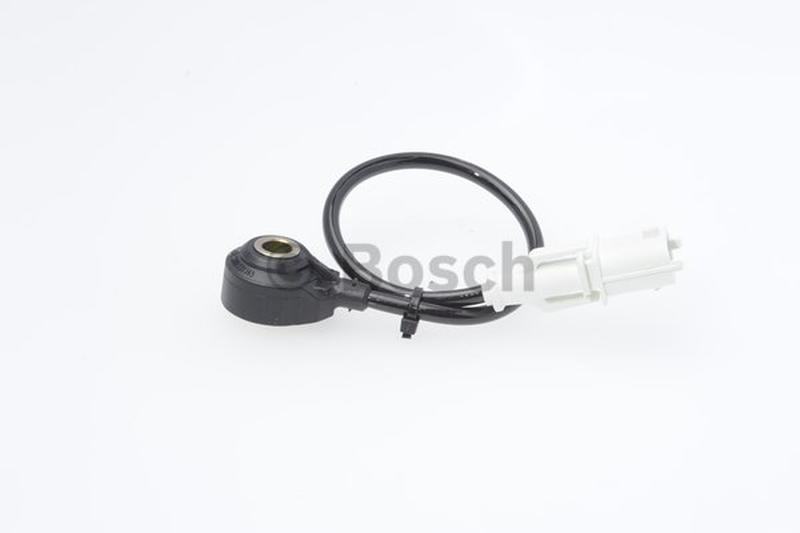 BOSCH 0-261-231-145-5