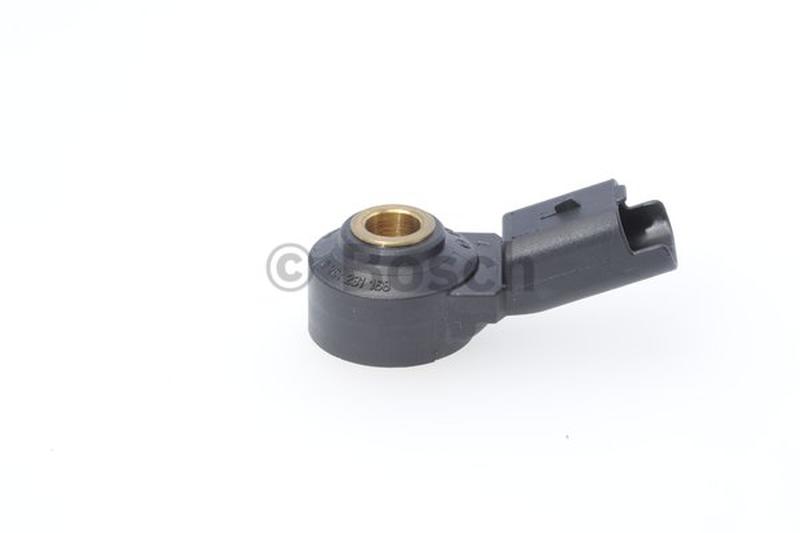 BOSCH 0-261-231-168-5