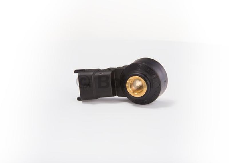 BOSCH 0-261-231-176-3