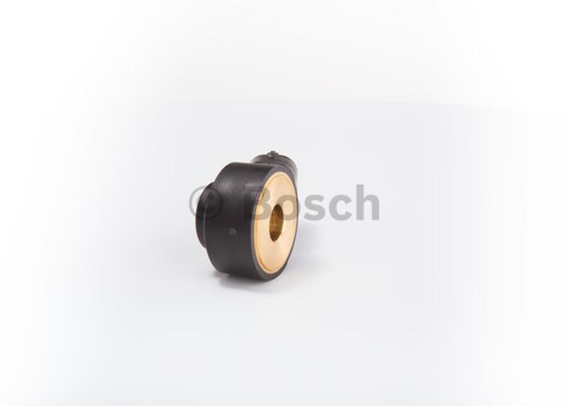 BOSCH 0-261-231-176-4