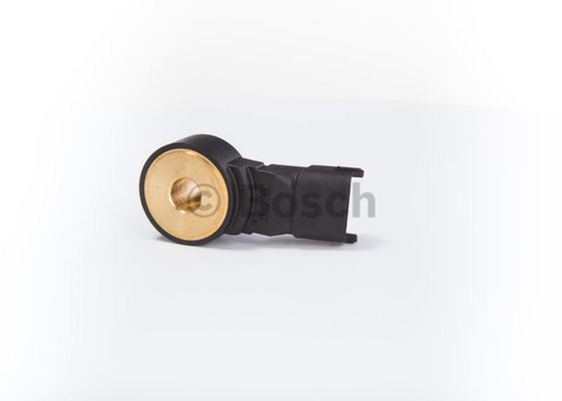 BOSCH 0-261-231-176-5