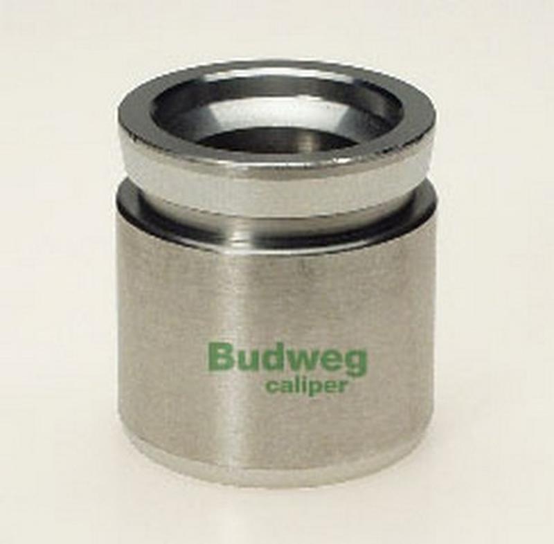 BUDWEG-CALIPER 231585