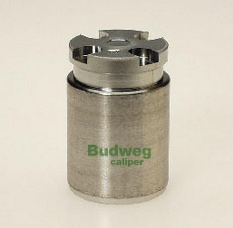 BUDWEG-CALIPER 233007