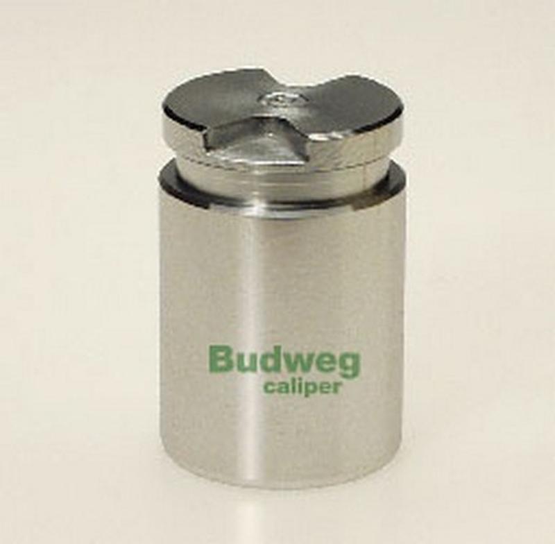 BUDWEG-CALIPER 233010