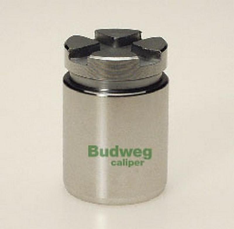 BUDWEG-CALIPER 233012