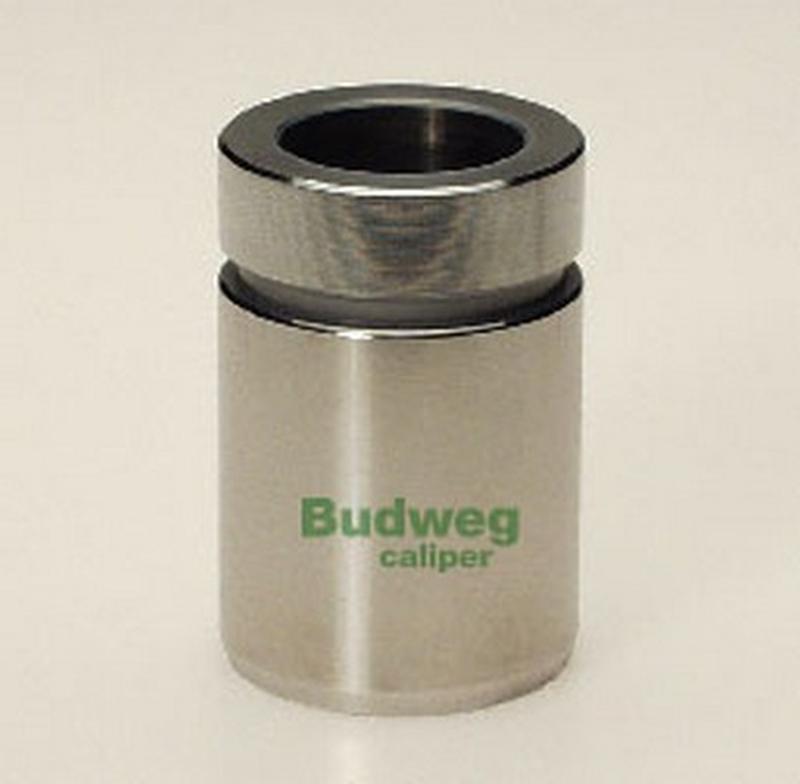 BUDWEG-CALIPER 233015