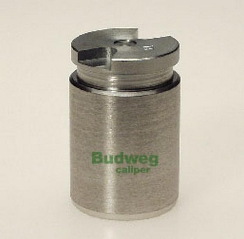 BUDWEG-CALIPER 233017