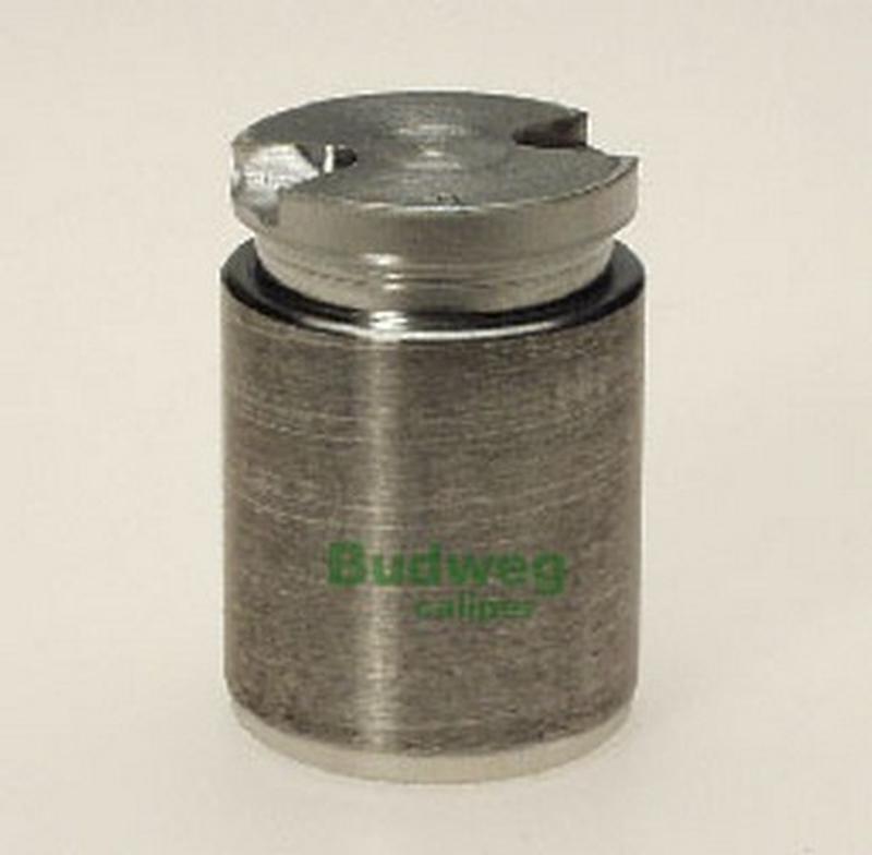 BUDWEG-CALIPER 233202