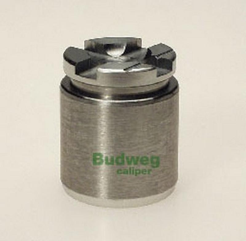BUDWEG-CALIPER 233205