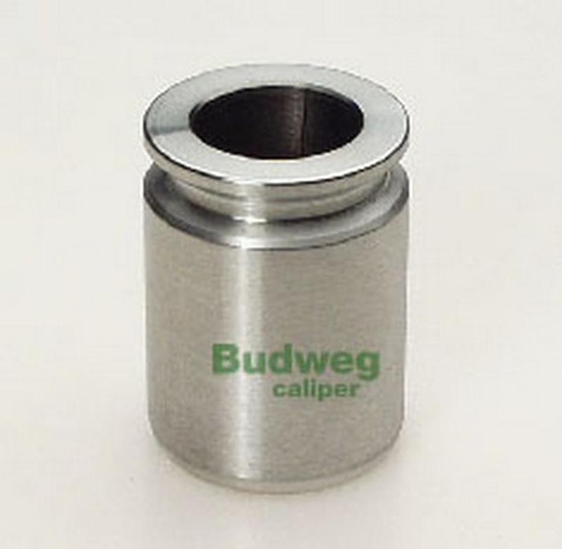 BUDWEG-CALIPER 233207