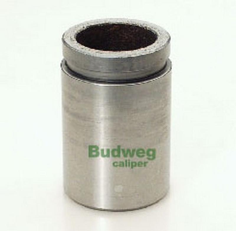 BUDWEG-CALIPER 233311