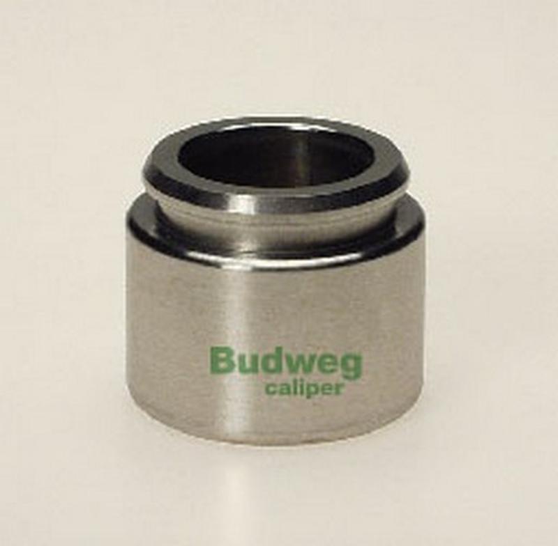 BUDWEG-CALIPER 233401
