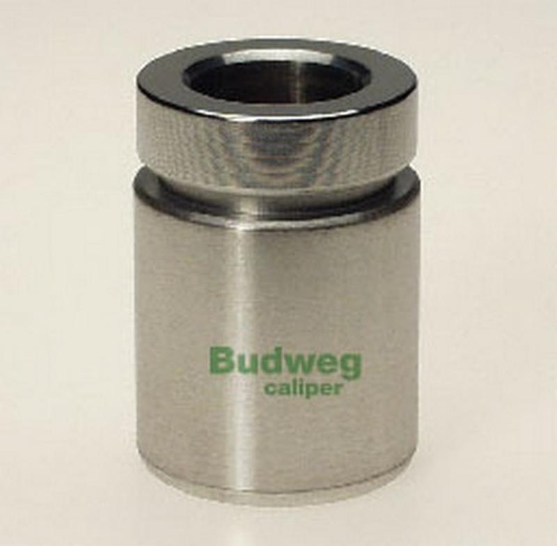 BUDWEG-CALIPER 233413