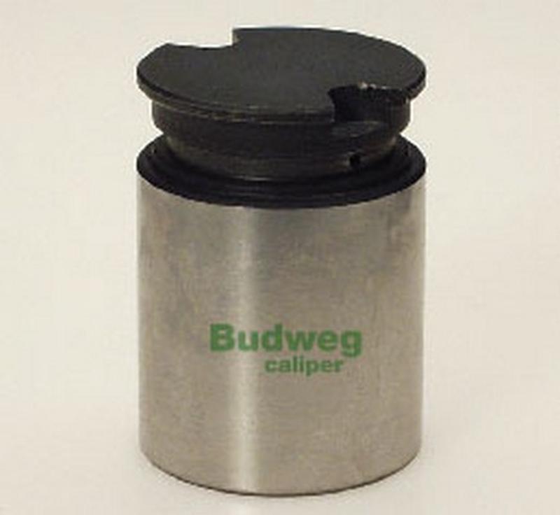 BUDWEG-CALIPER 233419