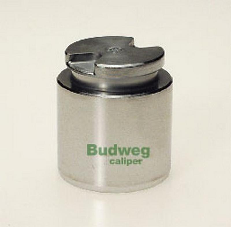 BUDWEG-CALIPER 233506