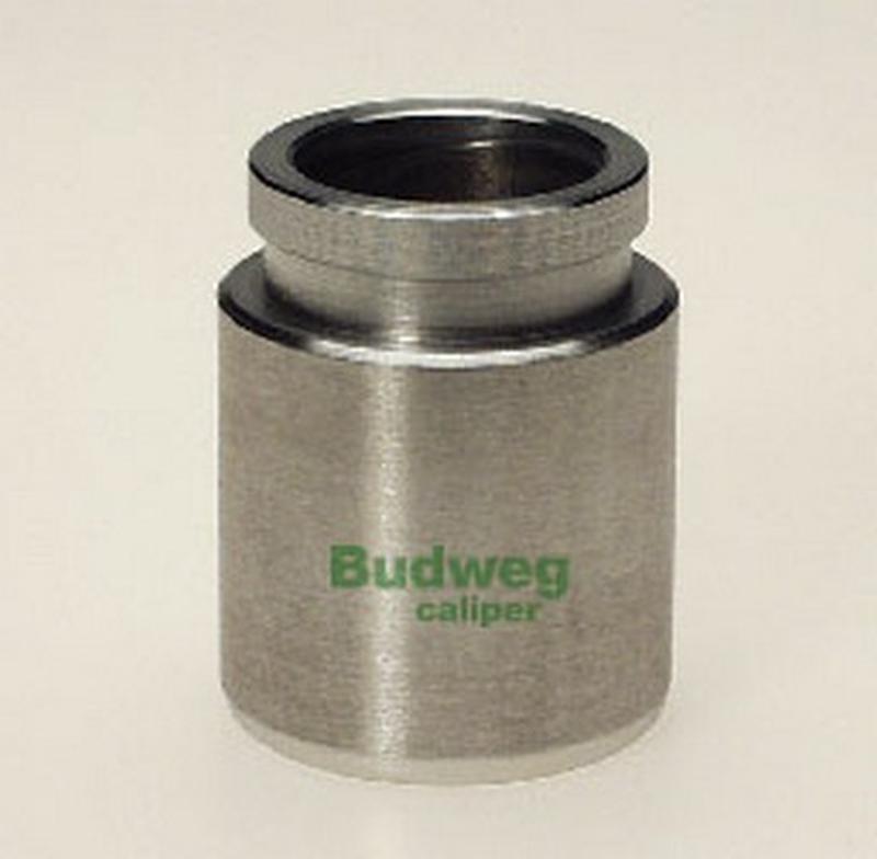 BUDWEG-CALIPER 233510