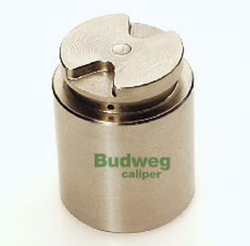 BUDWEG-CALIPER 233516