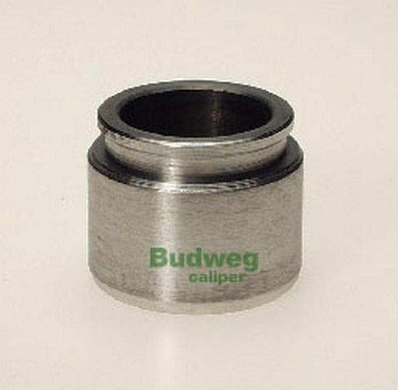BUDWEG-CALIPER 233614