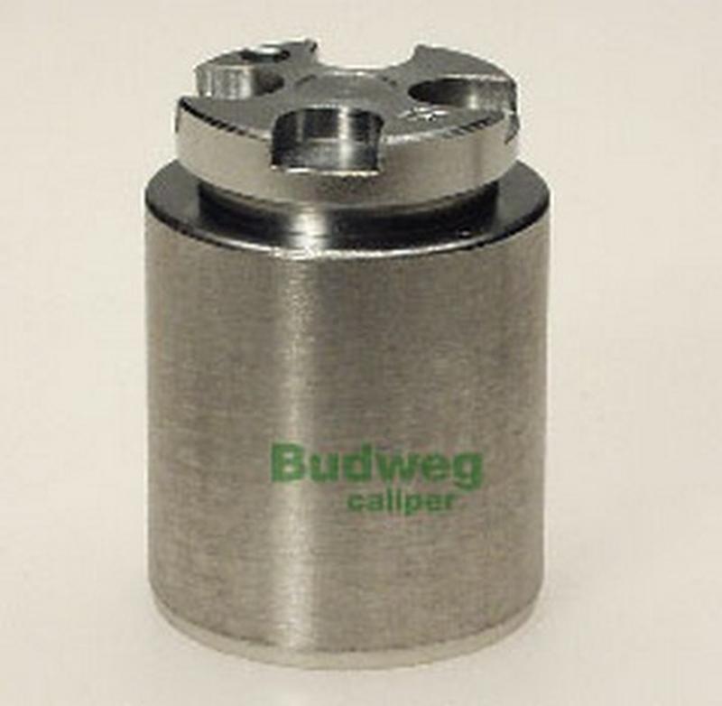 BUDWEG-CALIPER 233620