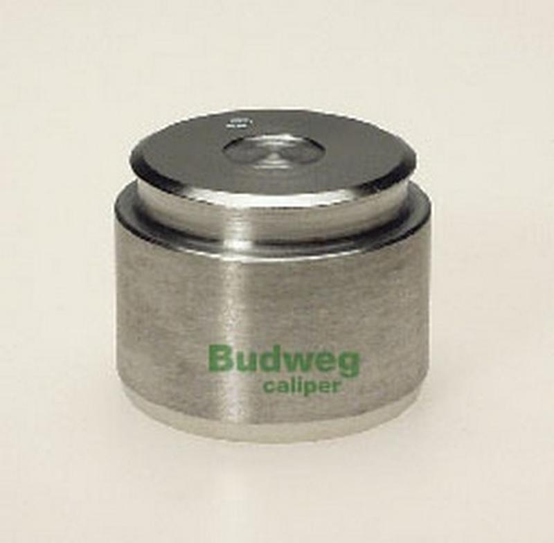 BUDWEG-CALIPER 233811