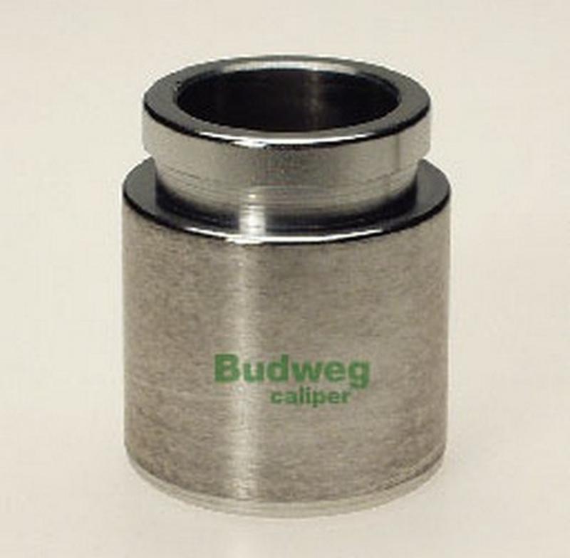 BUDWEG-CALIPER 233819