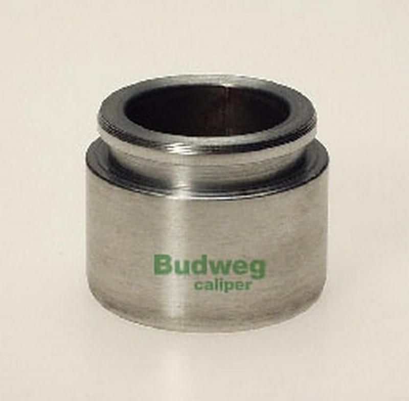 BUDWEG-CALIPER 233825