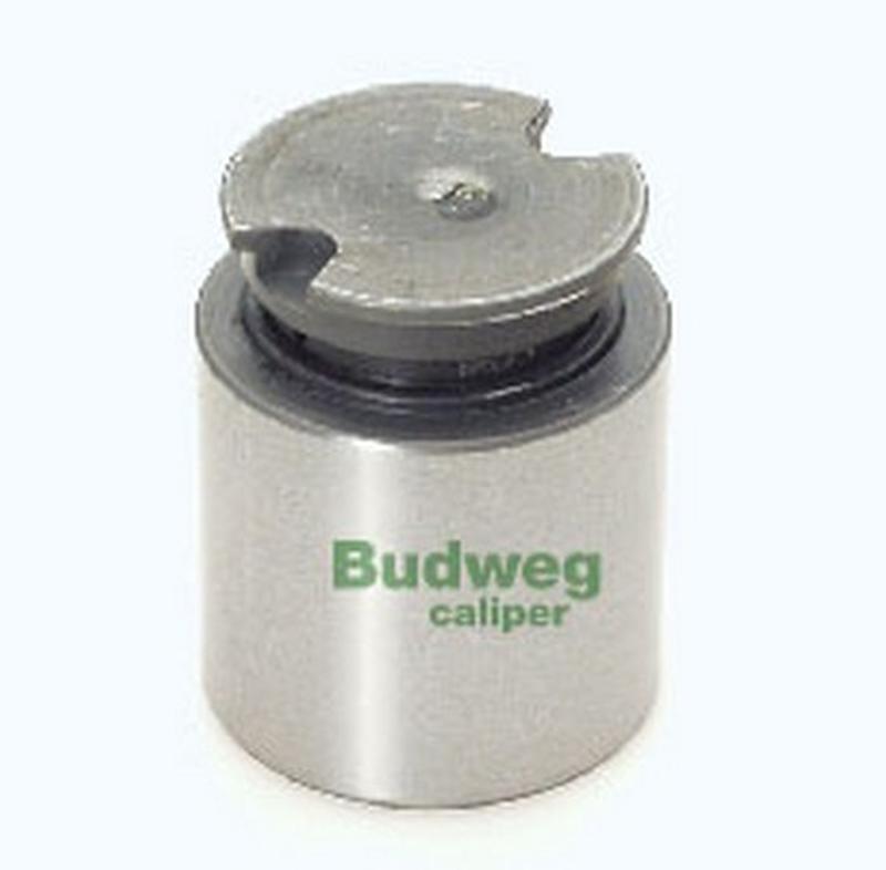 BUDWEG-CALIPER 233841