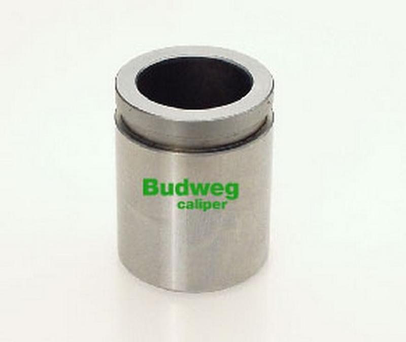 BUDWEG-CALIPER 233843