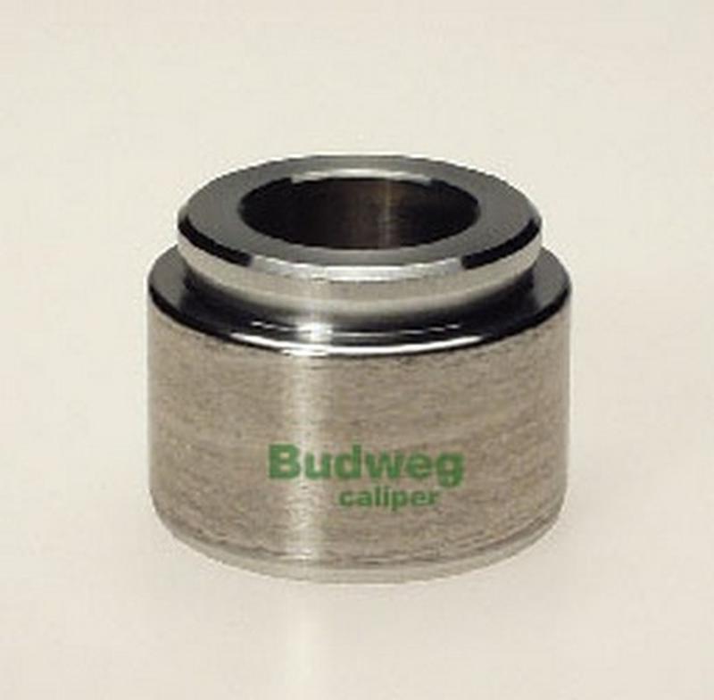 BUDWEG-CALIPER 234003