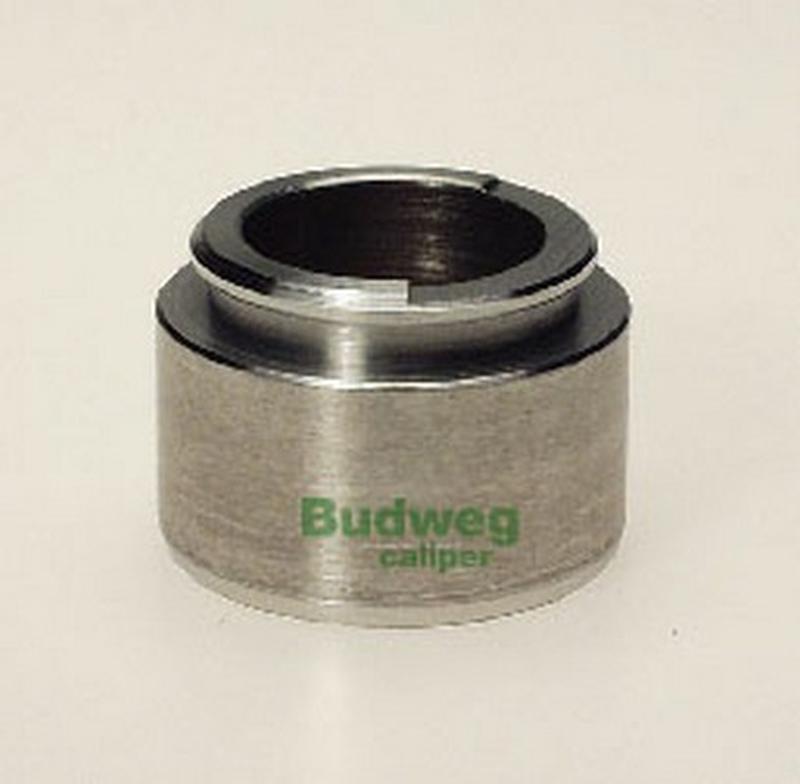 BUDWEG-CALIPER 234018