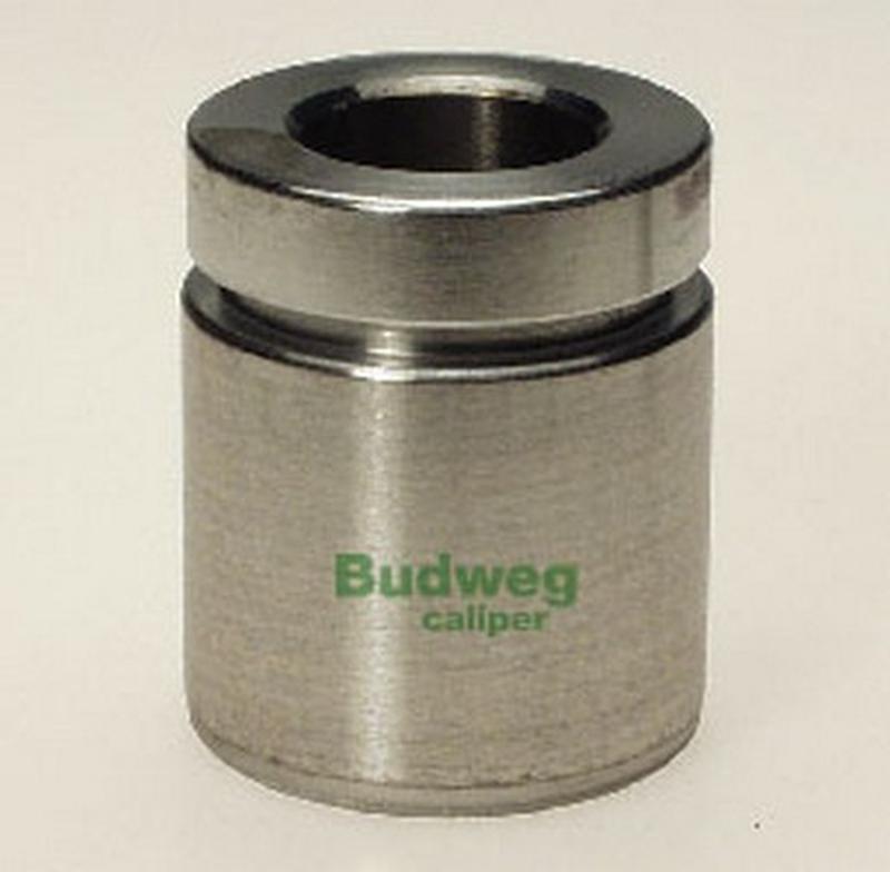 BUDWEG-CALIPER 234020