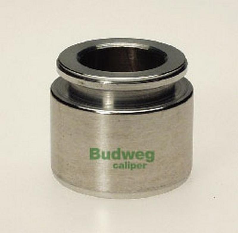 BUDWEG-CALIPER 234023