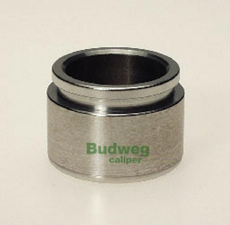 BUDWEG-CALIPER 234025