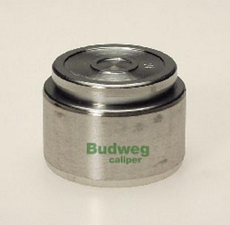 BUDWEG-CALIPER 234205