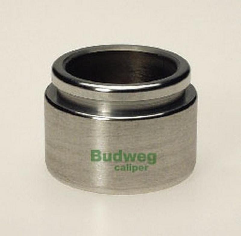 BUDWEG-CALIPER 234209
