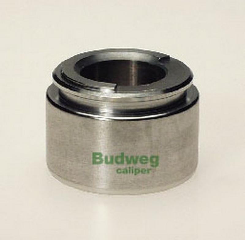 BUDWEG-CALIPER 234211