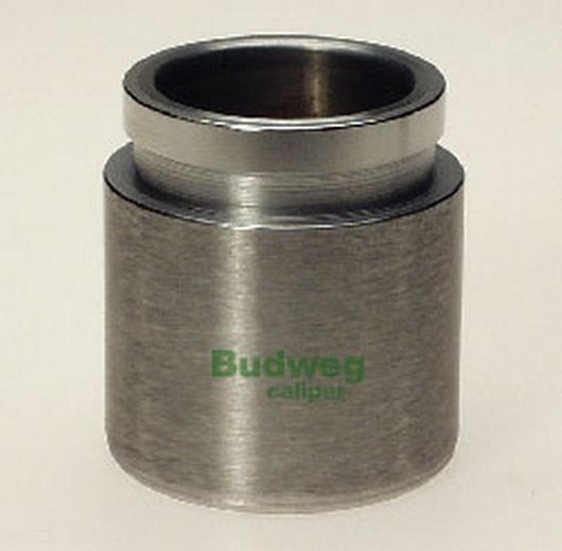 BUDWEG-CALIPER 234215