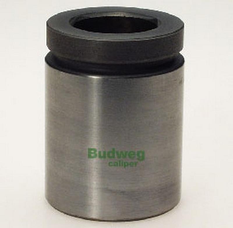 BUDWEG-CALIPER 234217
