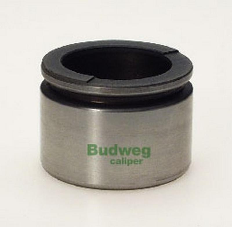 BUDWEG-CALIPER 234218