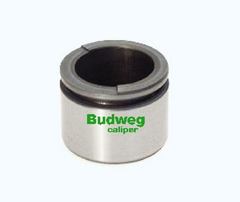 BUDWEG-CALIPER 234223