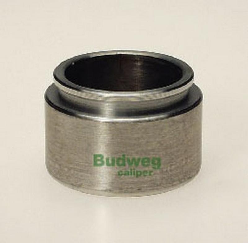 BUDWEG-CALIPER 234317