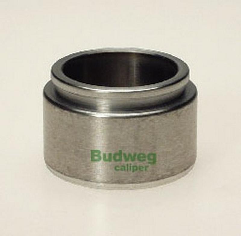 BUDWEG-CALIPER 234402