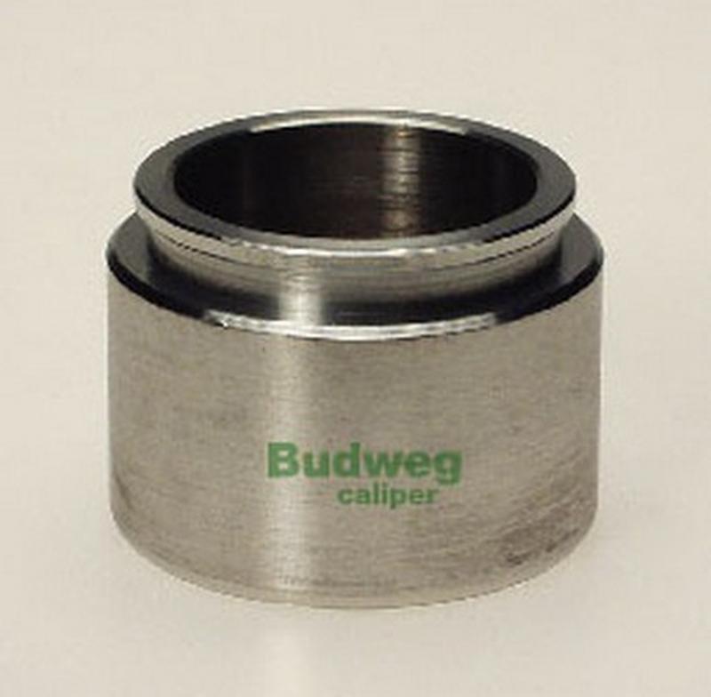BUDWEG-CALIPER 234403
