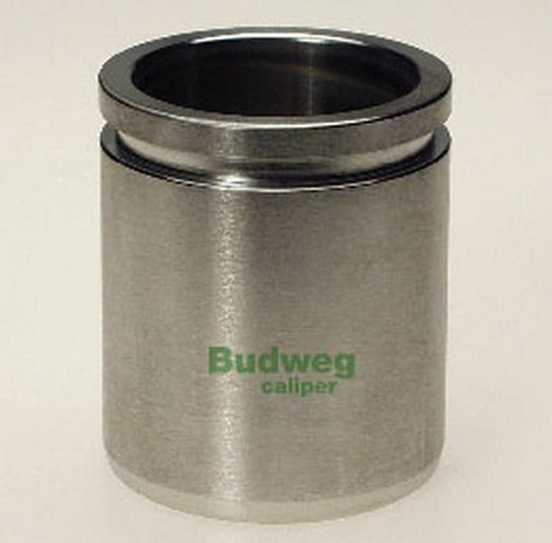 BUDWEG-CALIPER 234516