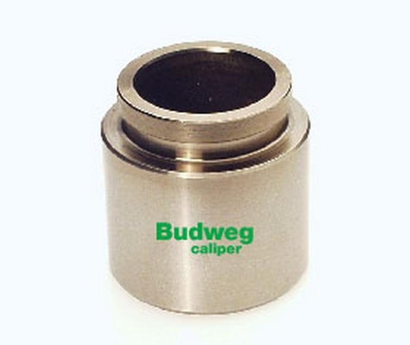 BUDWEG-CALIPER 234524