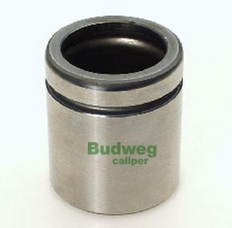 BUDWEG-CALIPER 234854