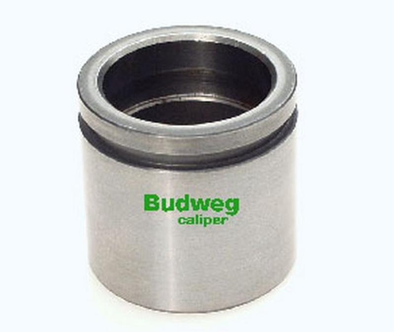 BUDWEG-CALIPER 234859