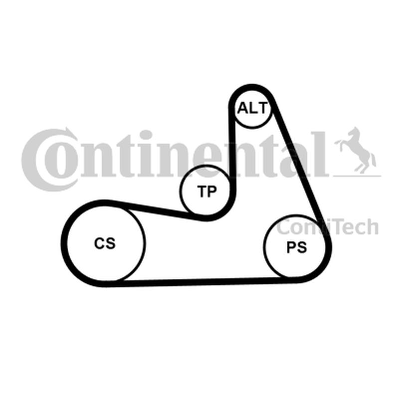 CONTITECH 5PK1121-EXTRA